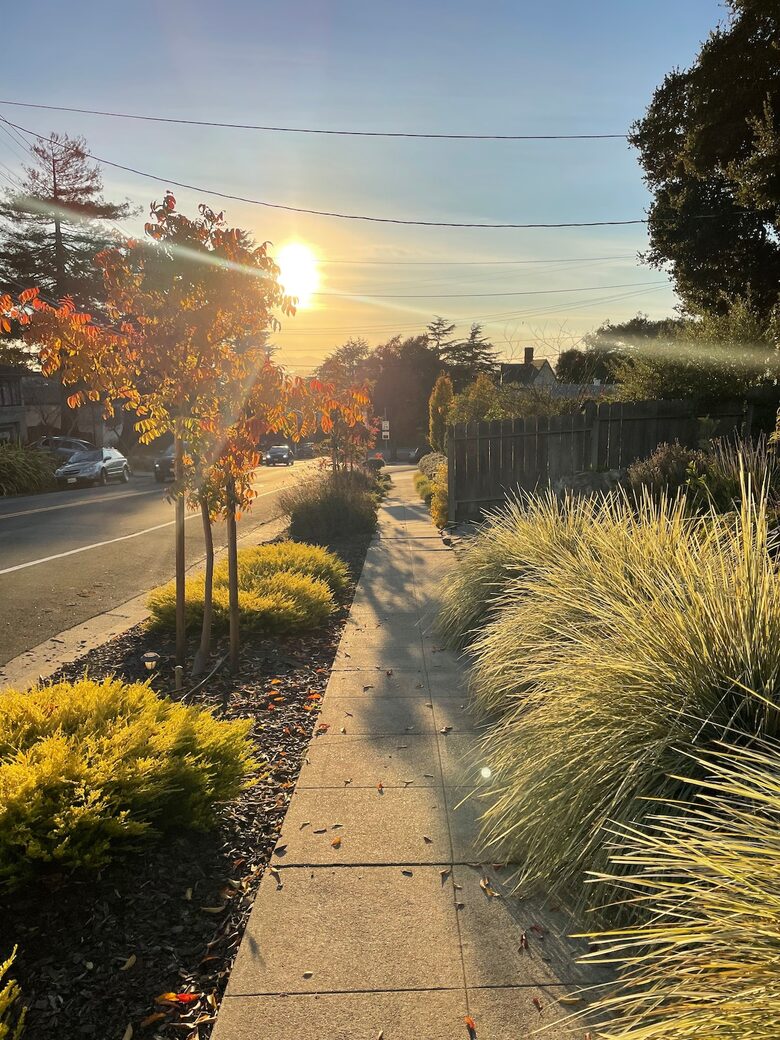 Elegant Family Home Near Berkeley & San Francisco - El Cerrito, California
