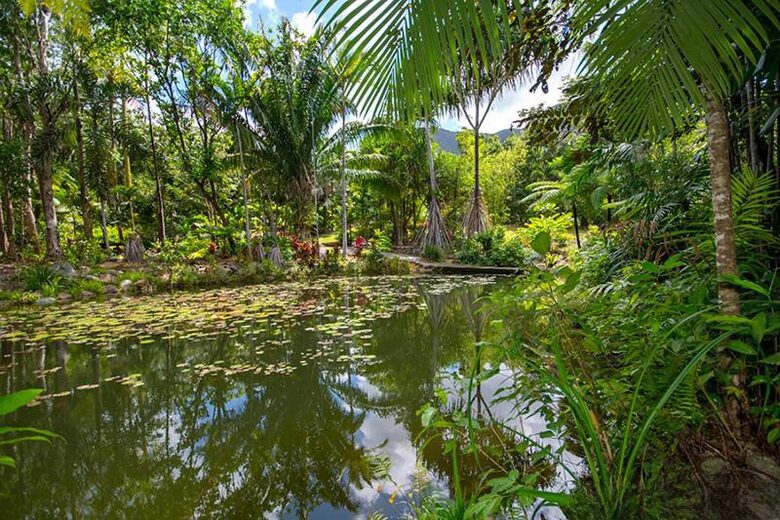 Villa Zena | Elegant Colonial-Style Escape Surrounded by Rainforest - Cape Tribulation, Australia