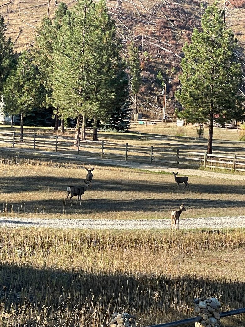 Peaceful Retreat Along the Bitterroot River - Conner, Montana