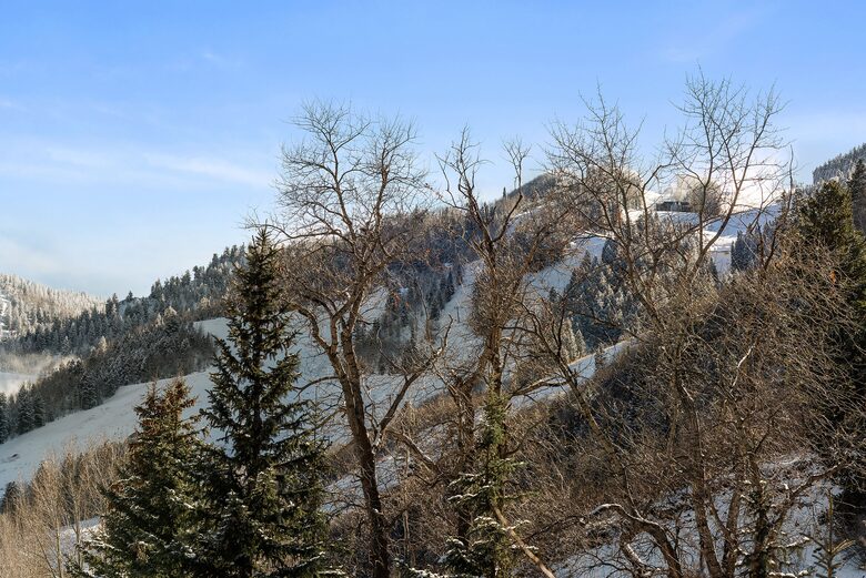 Contemporary Elegance with Mountain Views | Close to Aspen Core - Aspen, Colorado