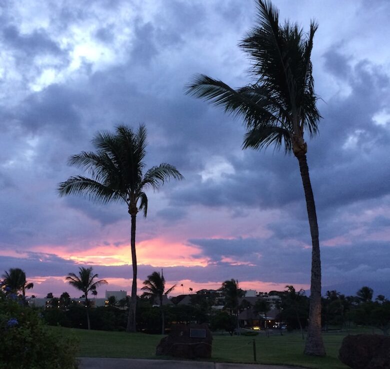 Refined Island Retreat Near Ka'anapali Beach and Whalers Village - Lahaina, Hawaii