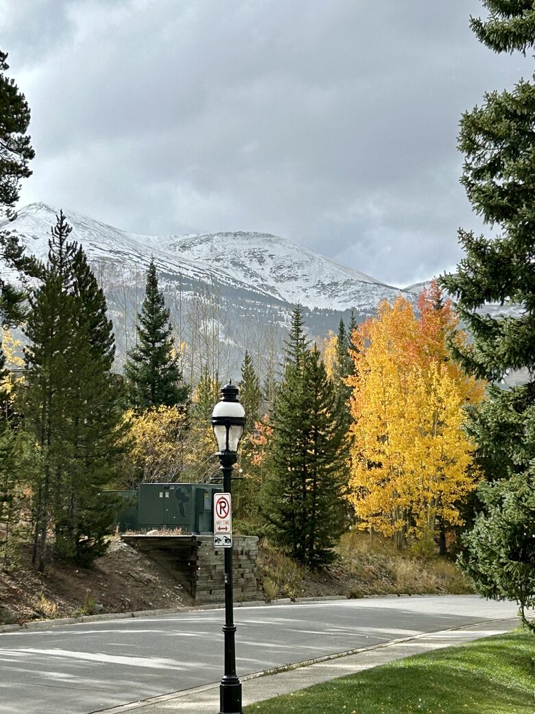 Cozy Elegance in the Heart of Breckenridge - Breckenridge, Colorado