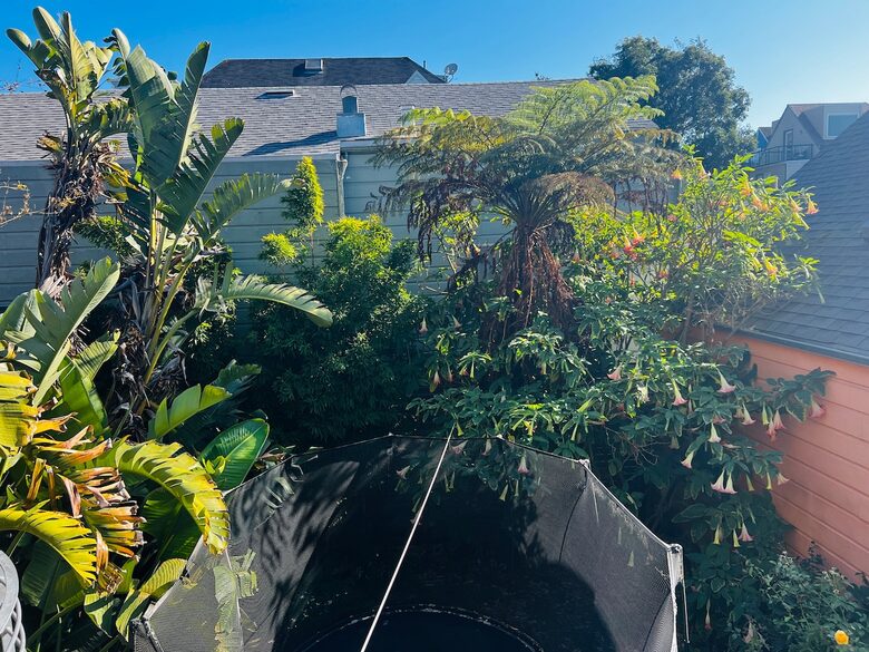 Light-Filled Victorian with Garden in the Heart of the Mission - San Francisco, California