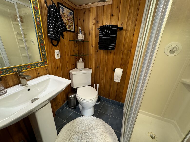 The Rainbow Room's bathroom: shower, toilet, sink