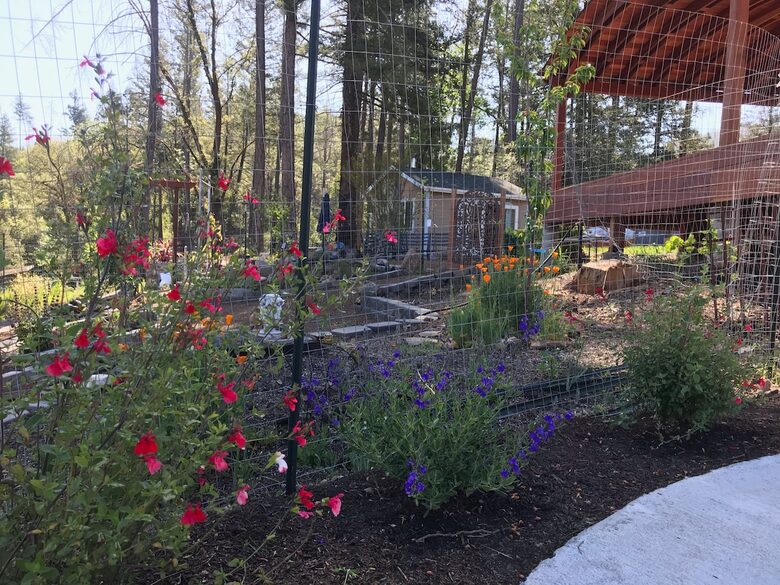 Creekside Haven in California Wine Country - Middletown, California