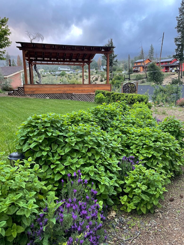 Creekside Haven in California Wine Country - Middletown, California