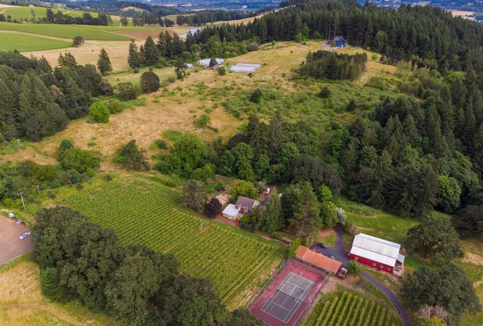 Modern Comfort Meets Vintage Charm in Oregon Wine Country - Newberg, Oregon