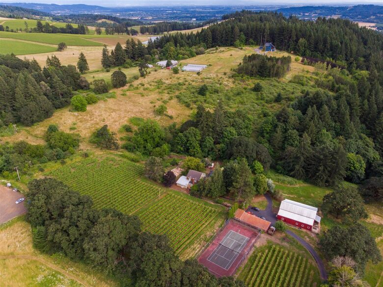Modern Comfort Meets Vintage Charm in Oregon Wine Country - Newberg, Oregon