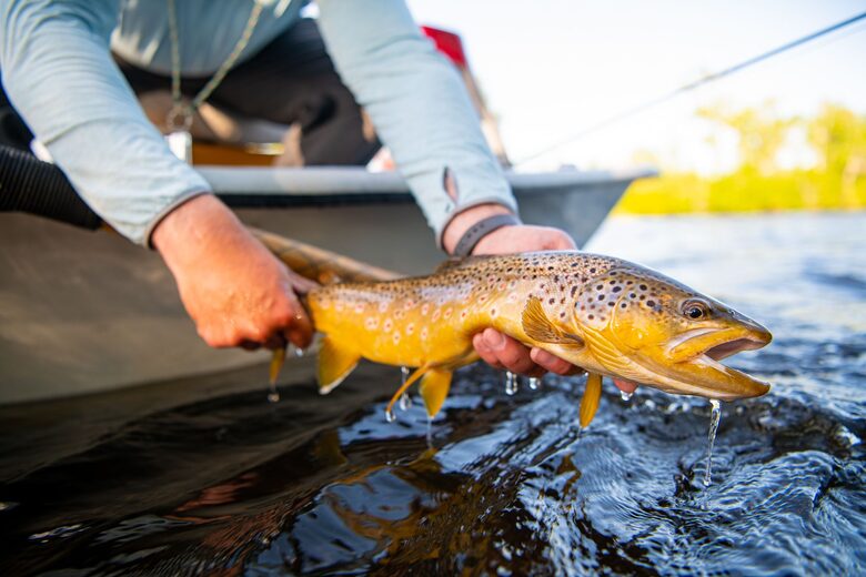 Peaceful Montana Getaway on the Famous Big Hole River - Butte, Montana