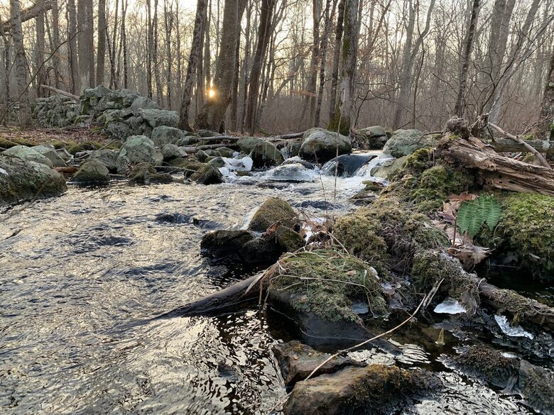 Historic Farm Stay with Forest Trails & Pasture Views - North Stonington, Connecticut