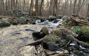 Historic Farm Stay with Forest Trails & Pasture Views - North Stonington, Connecticut
