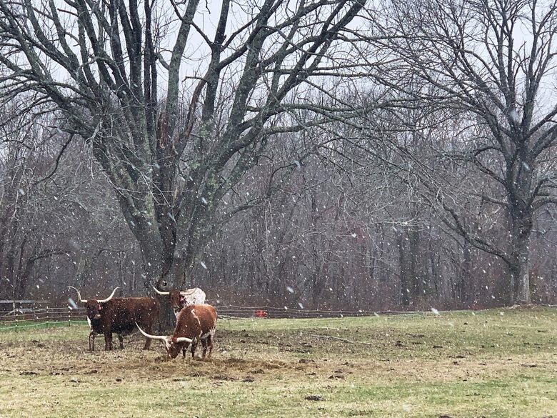 Historic Farm Stay with Forest Trails & Pasture Views - North Stonington, Connecticut