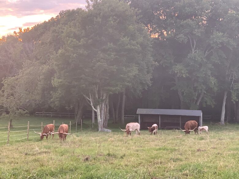 Historic Farm Stay with Forest Trails & Pasture Views - North Stonington, Connecticut
