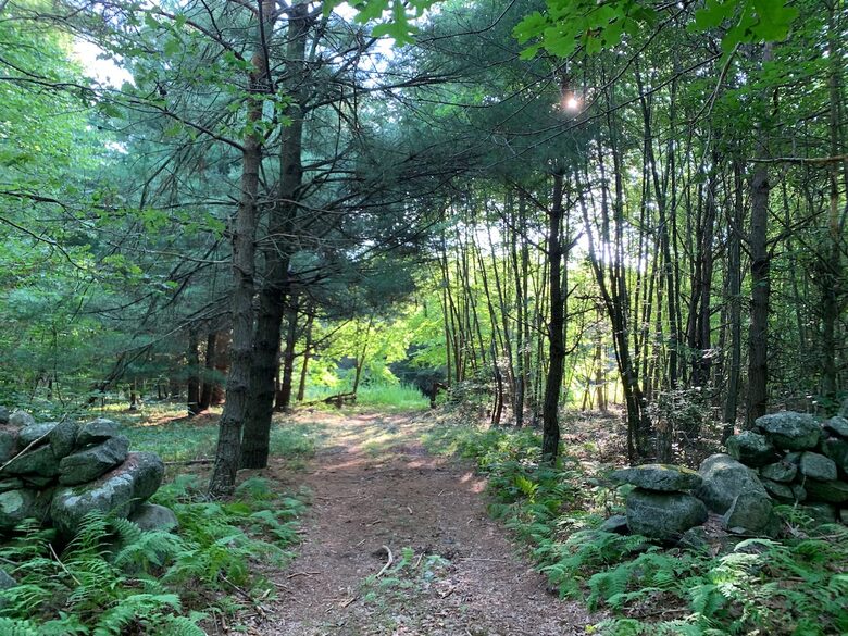 Historic Farm Stay with Forest Trails & Pasture Views - North Stonington, Connecticut