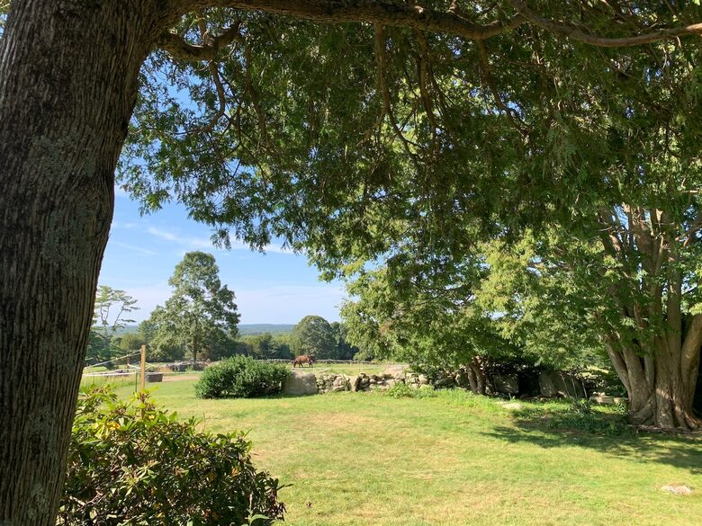 Historic Farm Stay with Forest Trails & Pasture Views - North Stonington, Connecticut