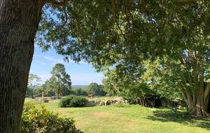 Historic Farm Stay with Forest Trails & Pasture Views - North Stonington, Connecticut