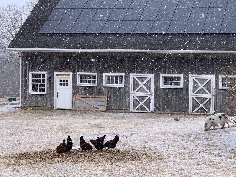Historic Farm Stay with Forest Trails & Pasture Views - North Stonington, Connecticut