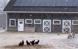 Historic Farm Stay with Forest Trails & Pasture Views - North Stonington, Connecticut