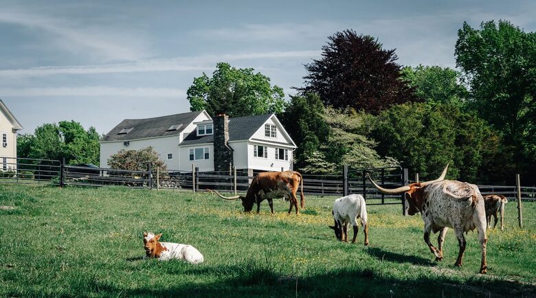 Historic Farm Stay with Forest Trails & Pasture Views - North Stonington, Connecticut