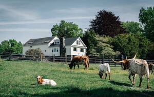 Historic Farm Stay with Forest Trails & Pasture Views - North Stonington, Connecticut