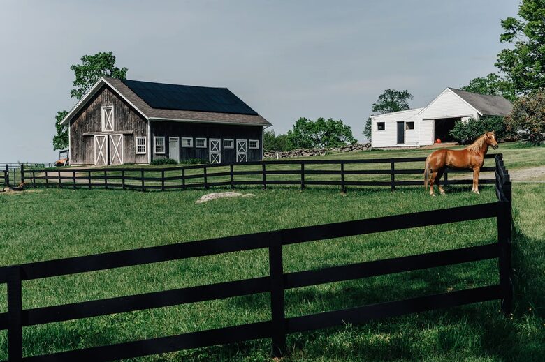 Historic Farm Stay with Forest Trails & Pasture Views - North Stonington, Connecticut