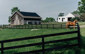 Historic Farm Stay with Forest Trails & Pasture Views - North Stonington, Connecticut