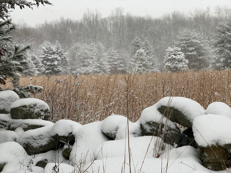 Historic Farm Stay with Forest Trails & Pasture Views - North Stonington, Connecticut