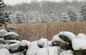 Historic Farm Stay with Forest Trails & Pasture Views - North Stonington, Connecticut
