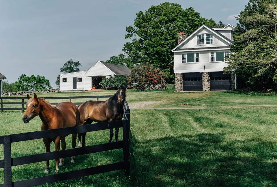 Historic Farm Stay with Forest Trails & Pasture Views - North Stonington, Connecticut