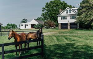 Historic Farm Stay with Forest Trails & Pasture Views - North Stonington, Connecticut