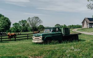 Historic Farm Stay with Forest Trails & Pasture Views - North Stonington, Connecticut