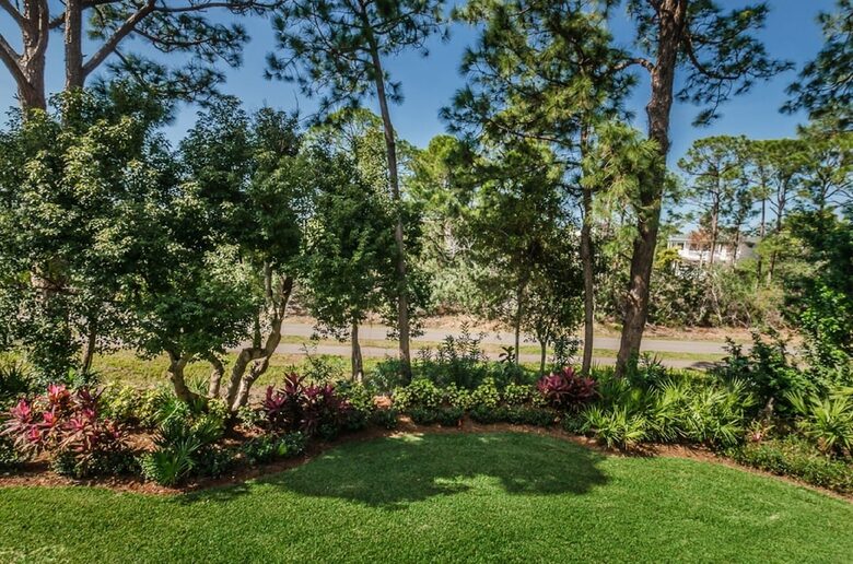 Elegant Palm Harbor Escape with Poolside Serenity - Palm Harbor, Florida