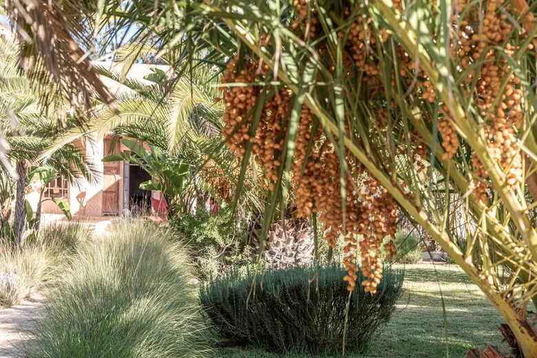Dar Maha Amazing Authentic Villa - Ghazoua, Essaouira, Morocco