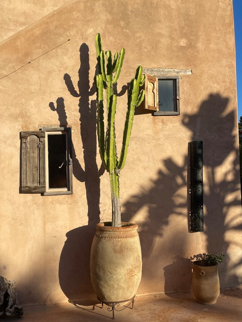 Dar Maha Amazing Authentic Villa - Ghazoua, Essaouira, Morocco