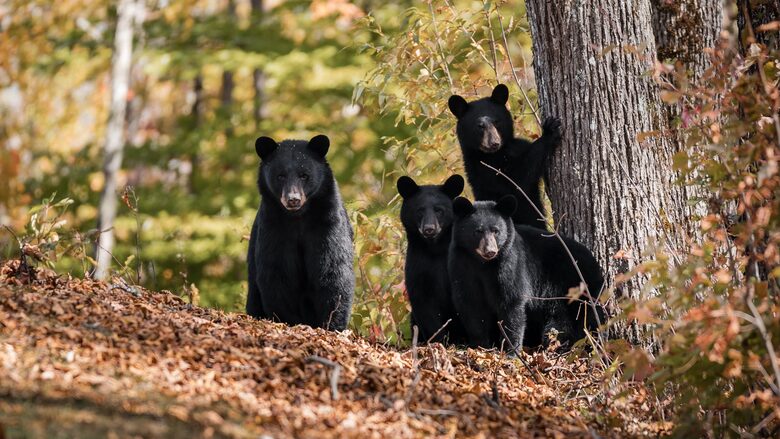 Local Friends checking us out