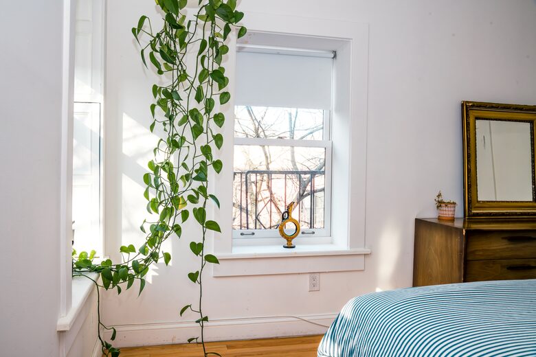 Corner Brownstone Duplex in Historic Park Slope - New York City, New York