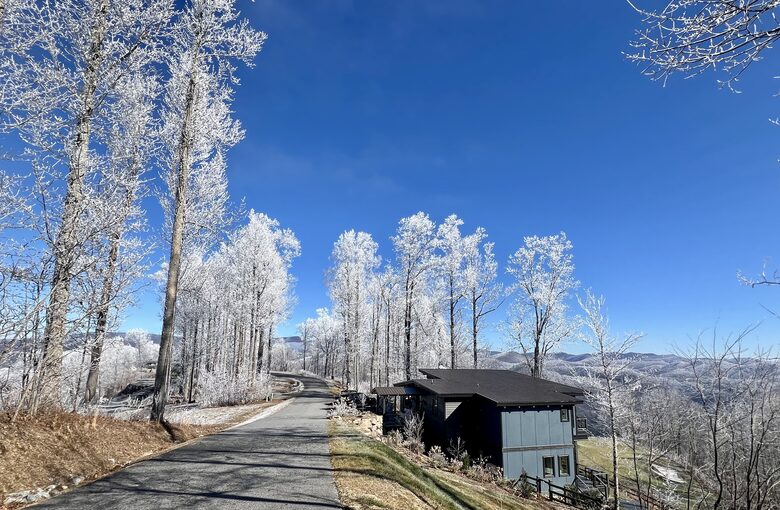Year Round Winter View