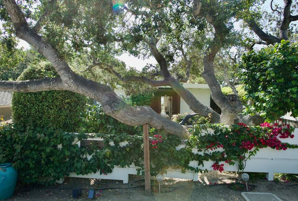 Timeless Charm Meets Modern Luxury in Carmel’s Heart - Carmel-by-the-Sea, California