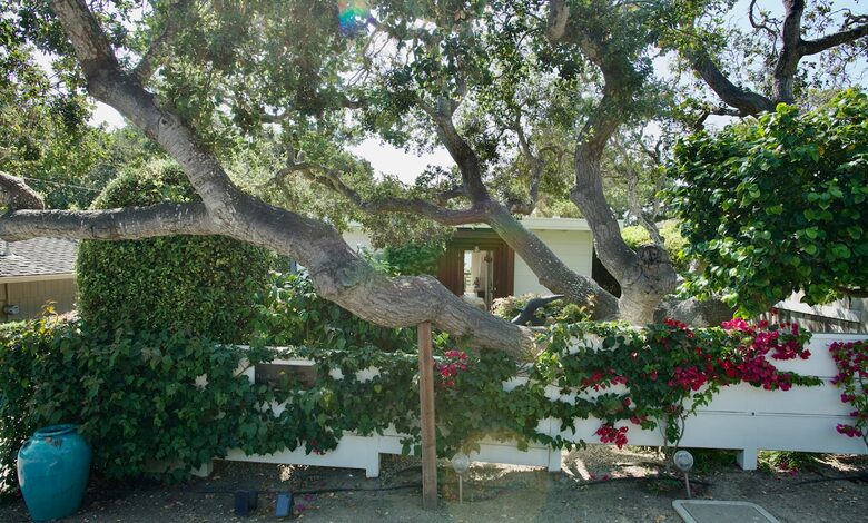 Timeless Charm Meets Modern Luxury in Carmel’s Heart - Carmel-by-the-Sea, California