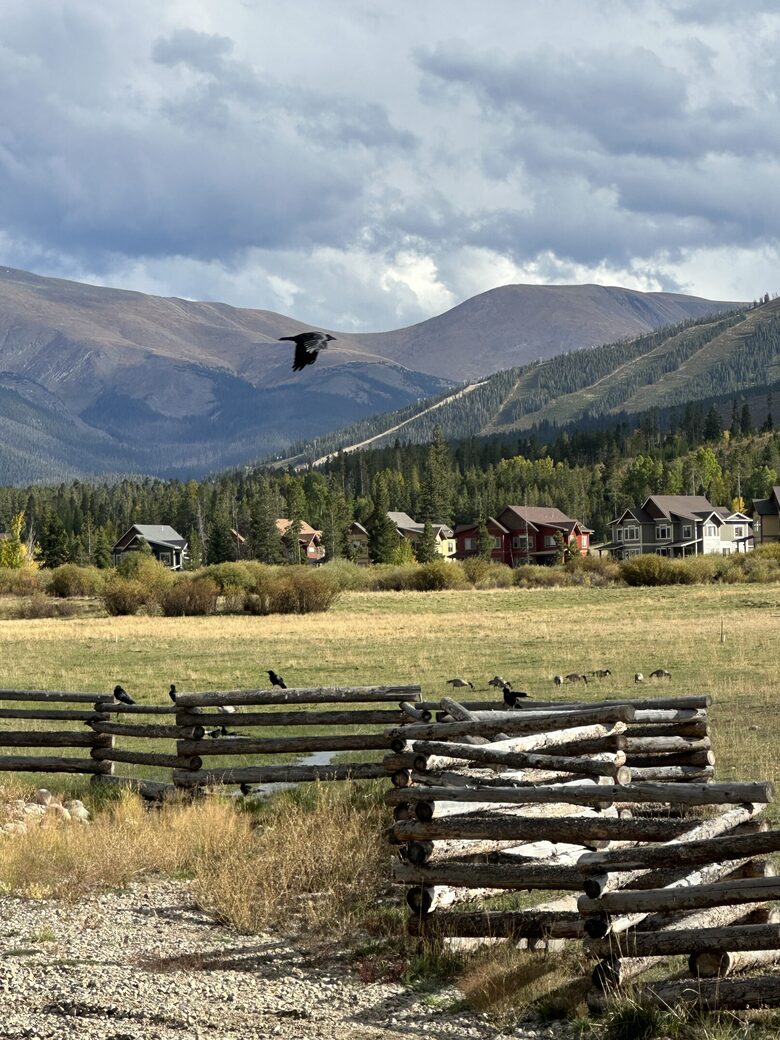 A Refined Mountain Retreat in Fraser - Fraser, Colorado