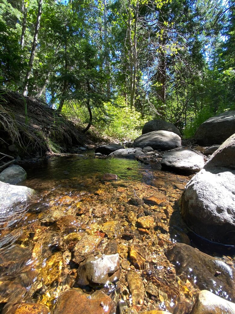 Refined Lake Tahoe Retreat with Private HOA Beach Access - Homewood, California