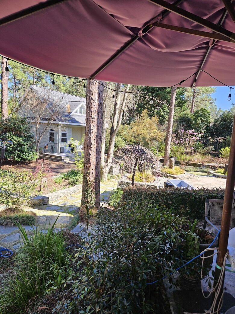 Refined Southern Living - Pinehurst, North Carolina