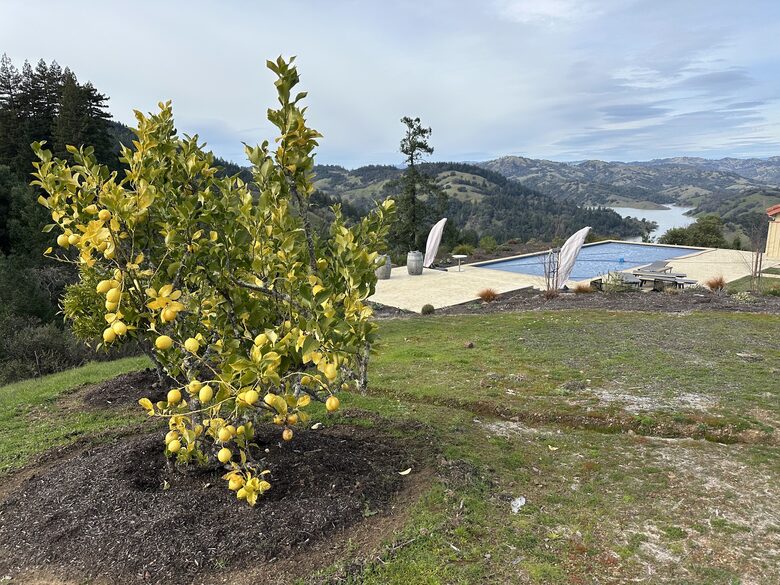 Elevated Living Overlooking Lake Sonoma - Geyserville, California
