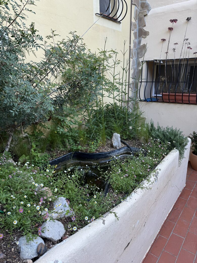 Vista Hermosa Country House - Santa Eulària des Riu, Ibiza, Spain