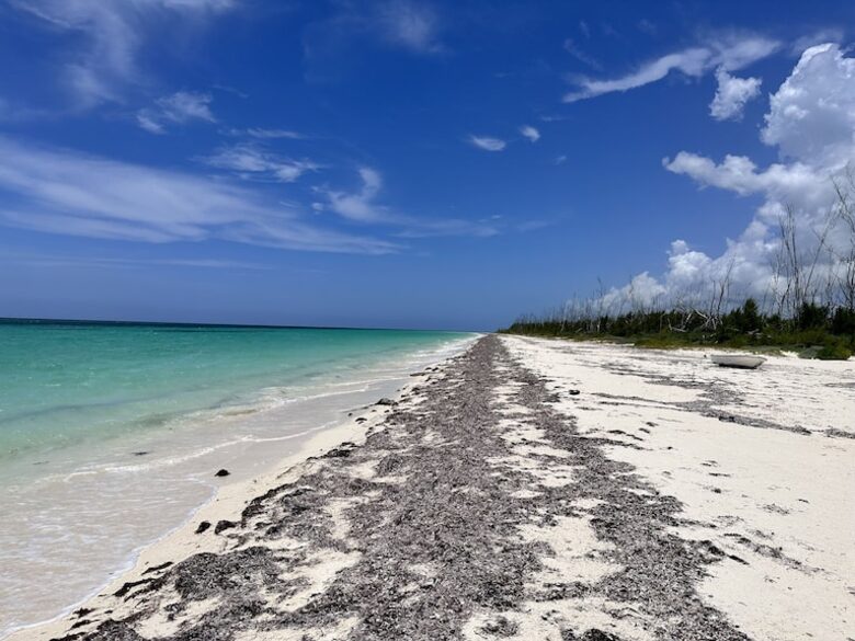 Secluded Island Oasis with Panoramic Water Views - Freeport, Bahamas