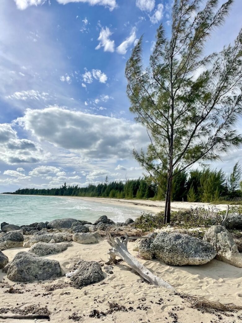 Secluded Island Oasis with Panoramic Water Views - Freeport, Bahamas