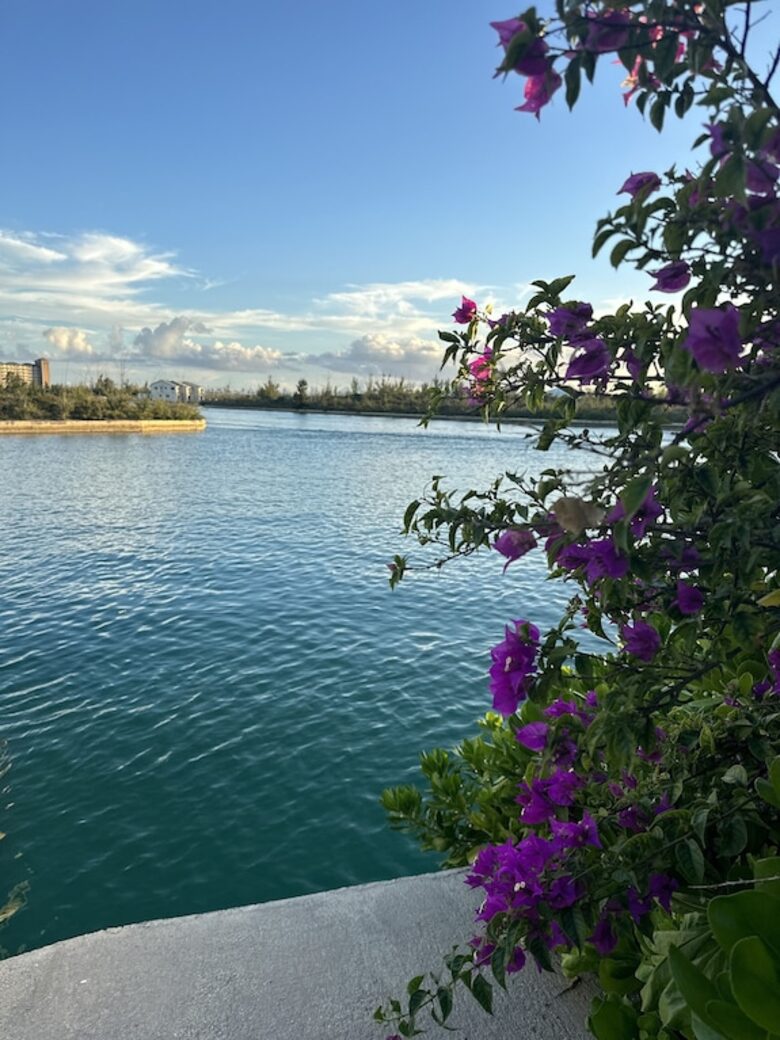Secluded Island Oasis with Panoramic Water Views - Freeport, Bahamas