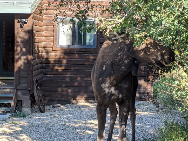 Secluded Wilderness Retreat Minutes from Park City - Park City, Utah