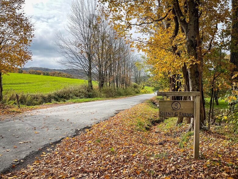 A Private Compound for Restoration & Gathering - North Branch, New York