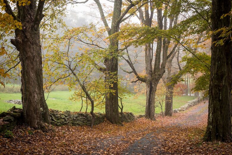 A Private Compound for Restoration & Gathering - North Branch, New York